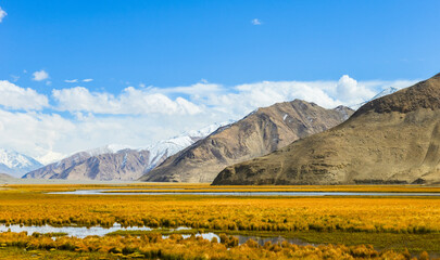 Beautiful autumn scenery of Muji Wetland, Muji River, and Chamu Section Road in Kashgar region,...