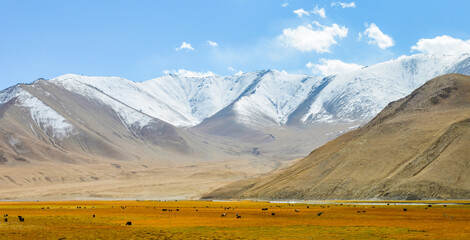Beautiful autumn scenery of Muji Wetland, Muji River, and Chamu Section Road in Kashgar region,...