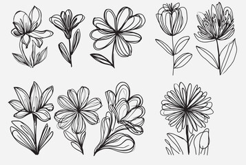 collection of elegant flower outline vector designs, featuring intricate and minimalist floral illustrations. Perfect for creating stylish logos, patterns, and decorative elements for various projects