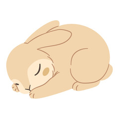 Flat vector illustration in a simple children's style. Cute rabbit sleeping on white background. Vector illustration