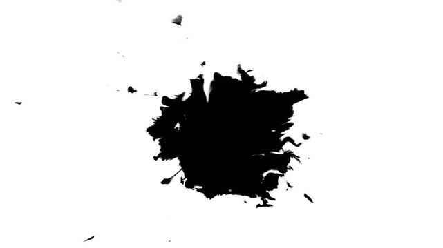 splash of black ink liquid flow