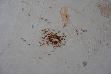 rusty metal background