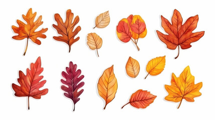 Watercolor paper texture sticker design pastel colors simple lines vibrant autumn leaves oak maple and birch leaves scattered soft light and shadows orange yellow red palette. Pastel. Illustration