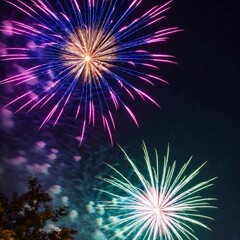 Fototapeta premium fireworks in the night sky