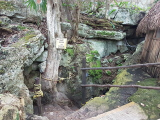 Entrée d'un cenote du Yucatán
