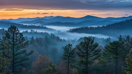 Obraz premium Misty Mountain Landscape at Sunrise with Lush Forests and Subtle Hues Transforming the Sky Above the Blue Ridge Mountains in Autumn Serenity