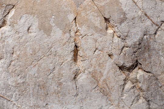 Ancient stone wall texutre