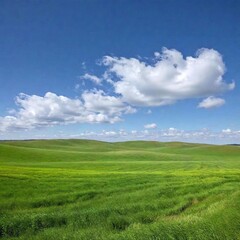 Fototapeta premium A high-resolution ultrarealistic image of a vast green meadow stretching into the horizon under a clear blue sky. The digital photograph captures the lush, vibrant green grass that dominates the foreg