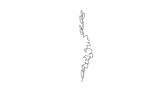 Self drawing animation of single line draw of beauty fresh gladiolus. Printable decorative poster sword gladius flower concept for home wall decoration art. Continuous line draw. Full length animated