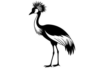 Obraz premium Grey crowned crane balearica regulorum gibbericeps vector illustration