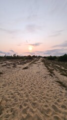 Coucher de soleil sur la dune (Prequ'île du Cap Ferret)