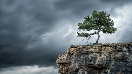 Fototapeta premium Perseverance and Strength: Lone Tree with Deep Roots on Cliff Against Stormy Skies