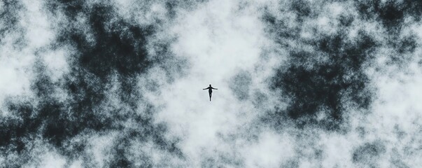 Obraz premium Solitary bird soaring in cloudy sky, emitting a sense of freedom and adventure.