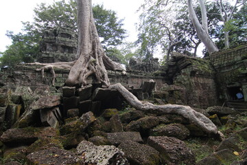 Ta Prohm, Angkor Wat, Cambodia © Maciej