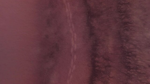 Drone View Aerial views showcase camera gliding over pink salt lake, revealing mesmerizing process of water evaporation
