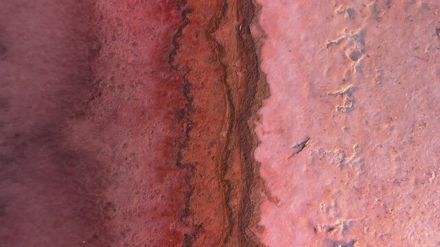 Drone View Tiny figure walks along the shore of a pink salt lake, leaving distinct footprints in the vibrant, surreal landscape