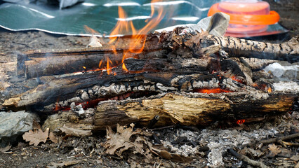 Campfire with Burning Logs and Flames in a Forest