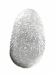 one black fingerprint isolated on white background