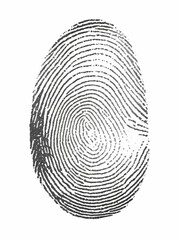 one black fingerprint isolated on white background