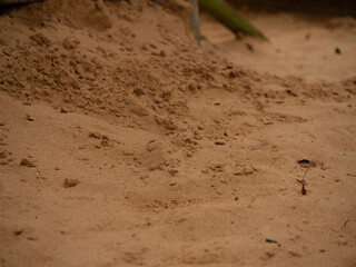 Sand on beach 