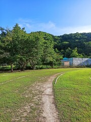 Sunlit Path Through Lush Greenery at Maya Sports Center, Peten, Guatemala