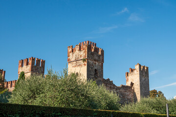 Fototapeta premium Castello Scaligeri di Lazise, mittelalterliche Burg mit Garten