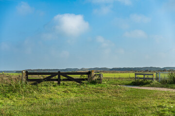 Gatter auf einer grünen Wiese, Texel