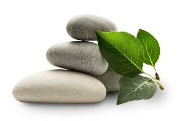 Fototapeta premium Stones with leaves on white background
