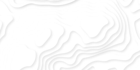 White paper cut background. Abstract realistic papercut decoration textured with wavy layers. 3d topography relief. Vector topographic illustration.