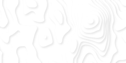 White paper cut background. Abstract realistic papercut decoration textured with wavy layers. 3d topography relief. Vector topographic illustration.