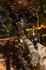 staccionata in legno