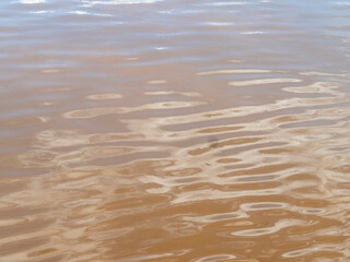 The water surface of the Amazon is very suitable as a background image.