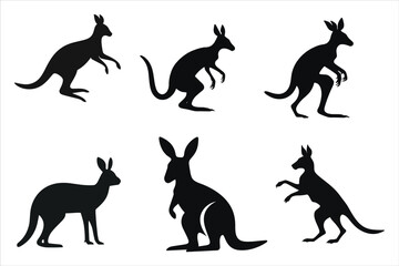 Kangaroo Silhouette Bundle Set on a White Background
