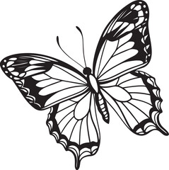 Black line art of a butterfly bundle for kids coloring book coloring page doodle art in white background