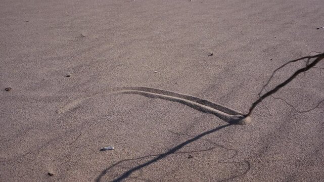 Drawing the Christian sign of the fish on a beach