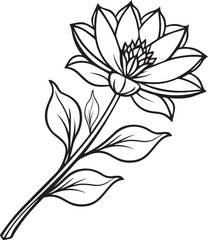 Black line art of a flower for kids coloring book coloring page doodle art in white background