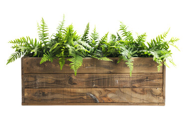 Wooden planter box filled with various green plants isolated on a transparent background.