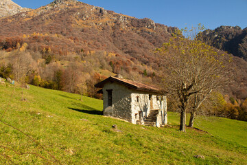 Obraz premium vecchia cascina nel prato