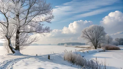 Fototapete Rund winter landscape with snow © OLGA S