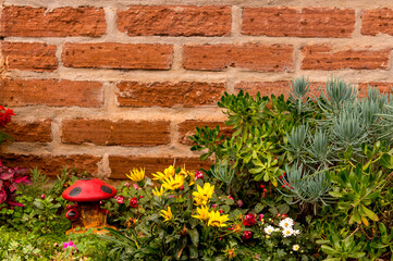 plants garden in front of the wall