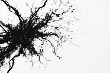 Fototapeta premium Abstract Black Ink Explosion Art