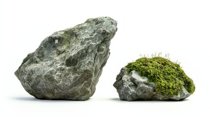 Fototapeta premium different types of stones with green moss isolated on white