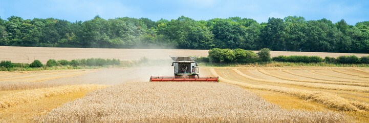 combine harvester on field