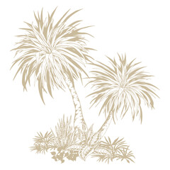 Obraz premium Tropical palm trees clipart. Hand drawn tropical illustration. Botanical sketch composition.