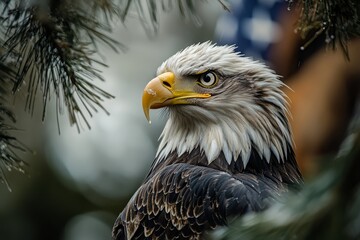 Majestic Eagle in Natural Habitat