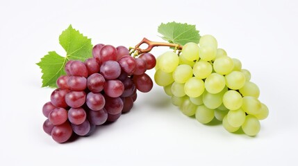Fototapeta premium beautiful and ripe branch of blue and yellow grapes on a white background.