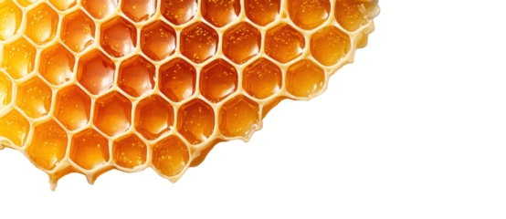 Honeycomb with honey on a transparent background