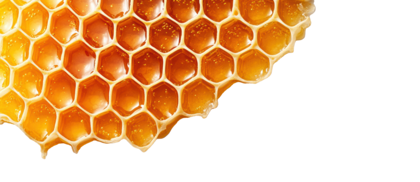Honeycomb with honey on a transparent background