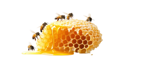 Fresh honeycomb with bees on a transparent background