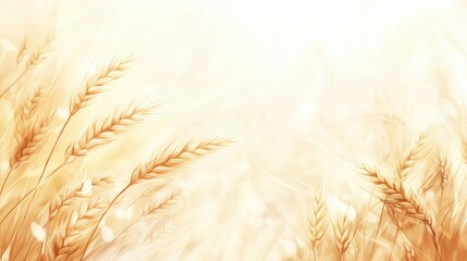 Abstract background of wheat ears in beige tones. Beautiful nature concept farmland, and food production. Close-up of a field of white rye.